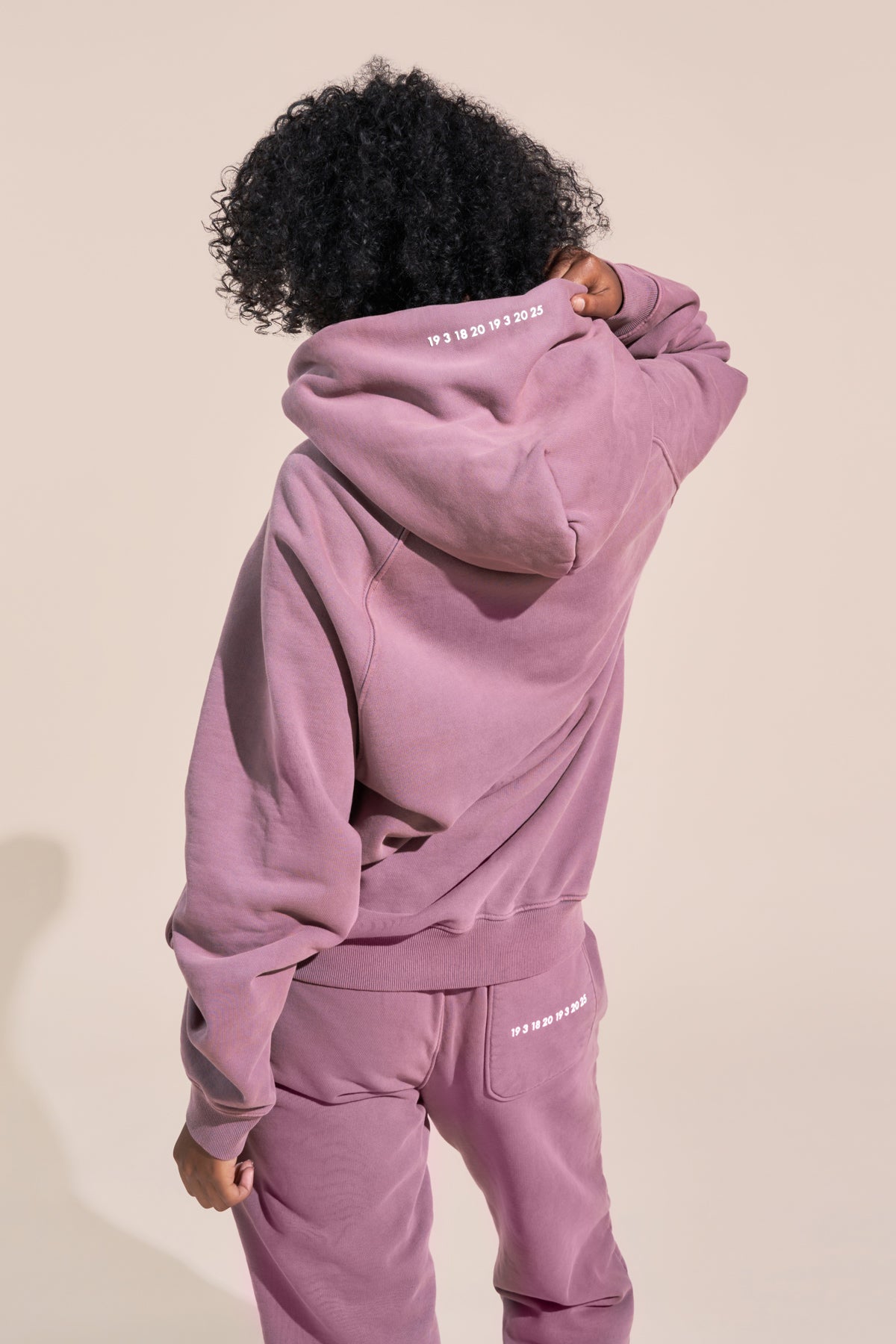 encino article 6 logo raglan hoodie mauve