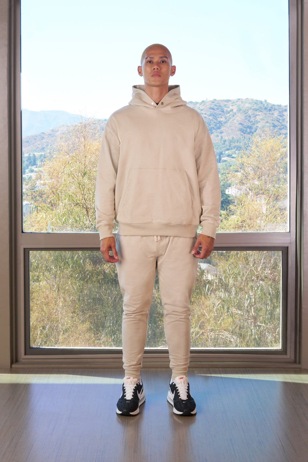 standards article 6 hoodie bone