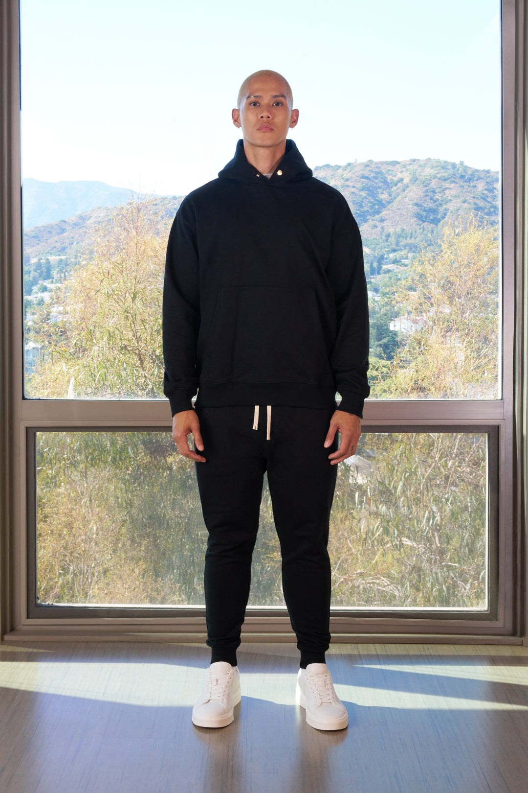 standards article 6 hoodie black